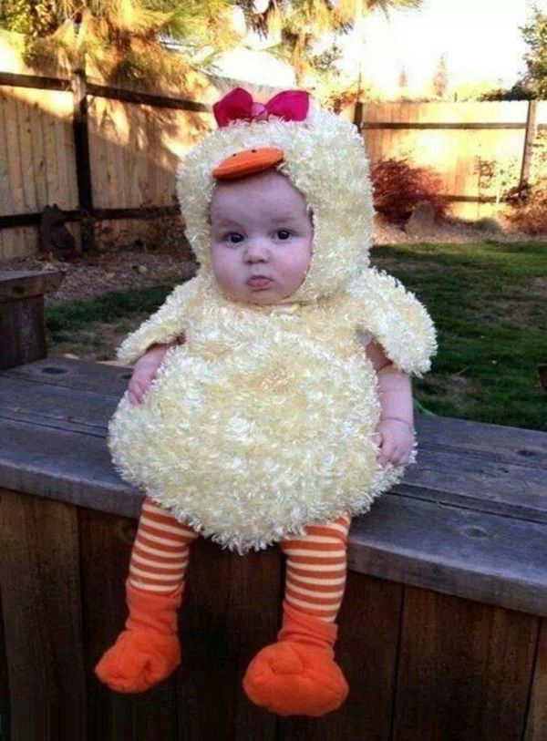 cute-costume-baby-chicken