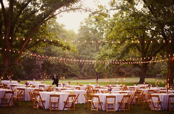 used-peacock-wedding-decorations